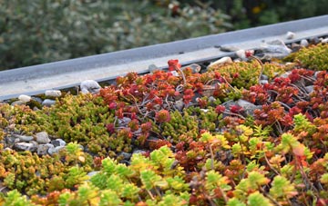 the cost of Branch End green roof installation
