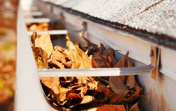 Branch End gutter cleaning companies