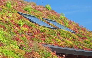 Branch End living roof systems