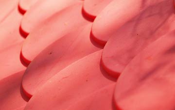 Branch End plastic roof costs