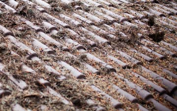 Branch End roof cleaning companies