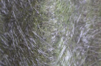 Branch End fibreglass roof work