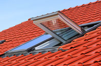 Branch End roof window